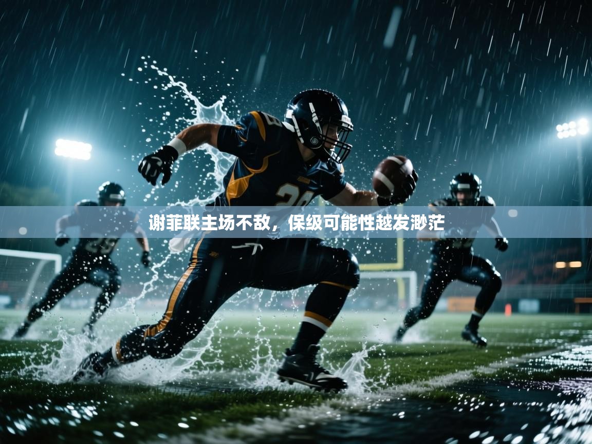 谢菲联主场不敌，保级可能性越发渺茫  第1张