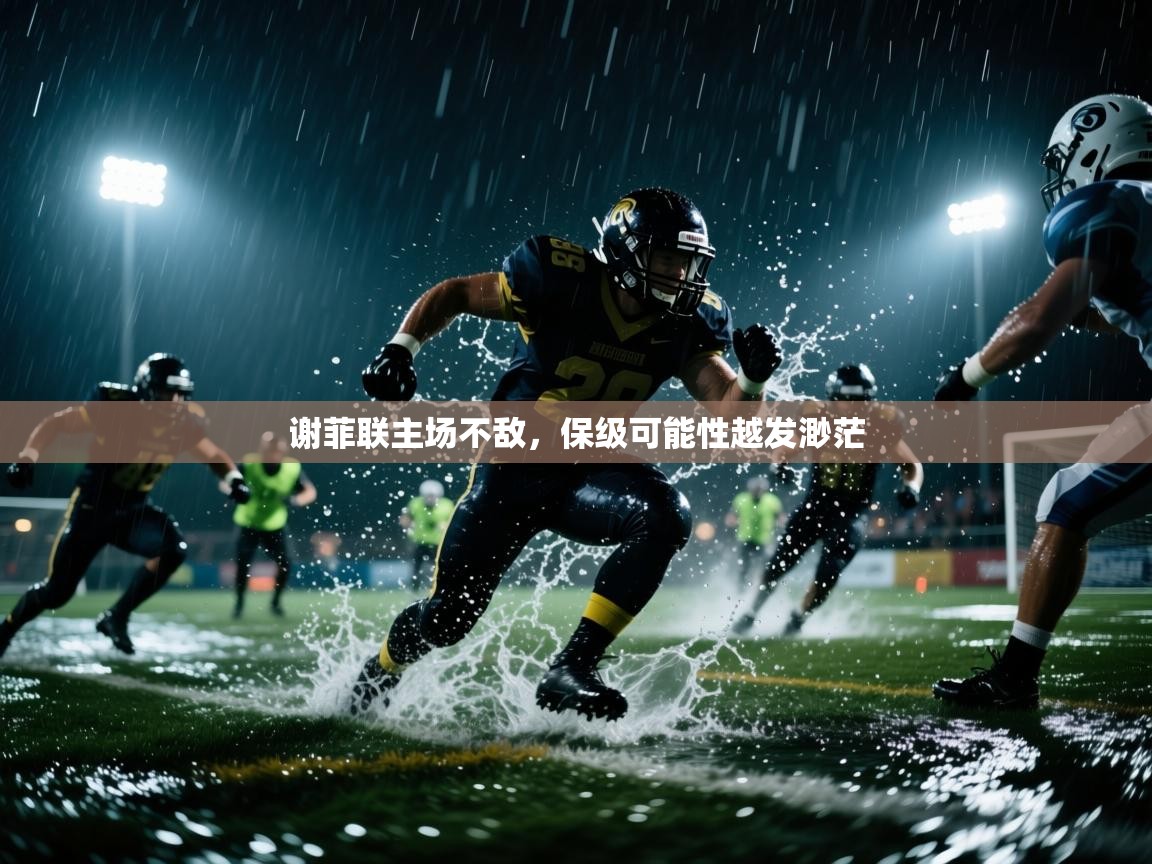 谢菲联主场不敌，保级可能性越发渺茫  第2张